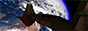 foredestrucbutton.jpg