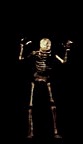 skeleton.gif