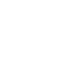 whitevegvisir.gif