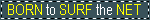 netsurf.gif